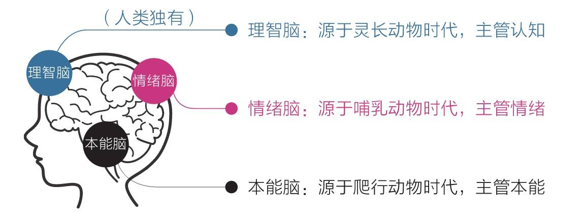 产品经理，产品经理网站